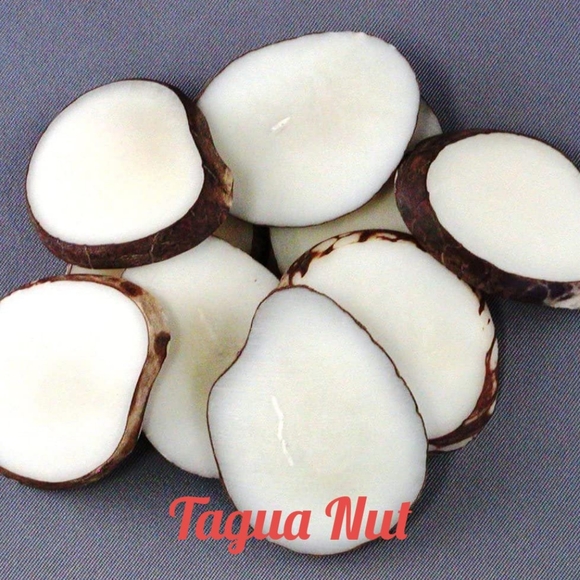 Tagua Necklace and earrings - Picture 5 of 7